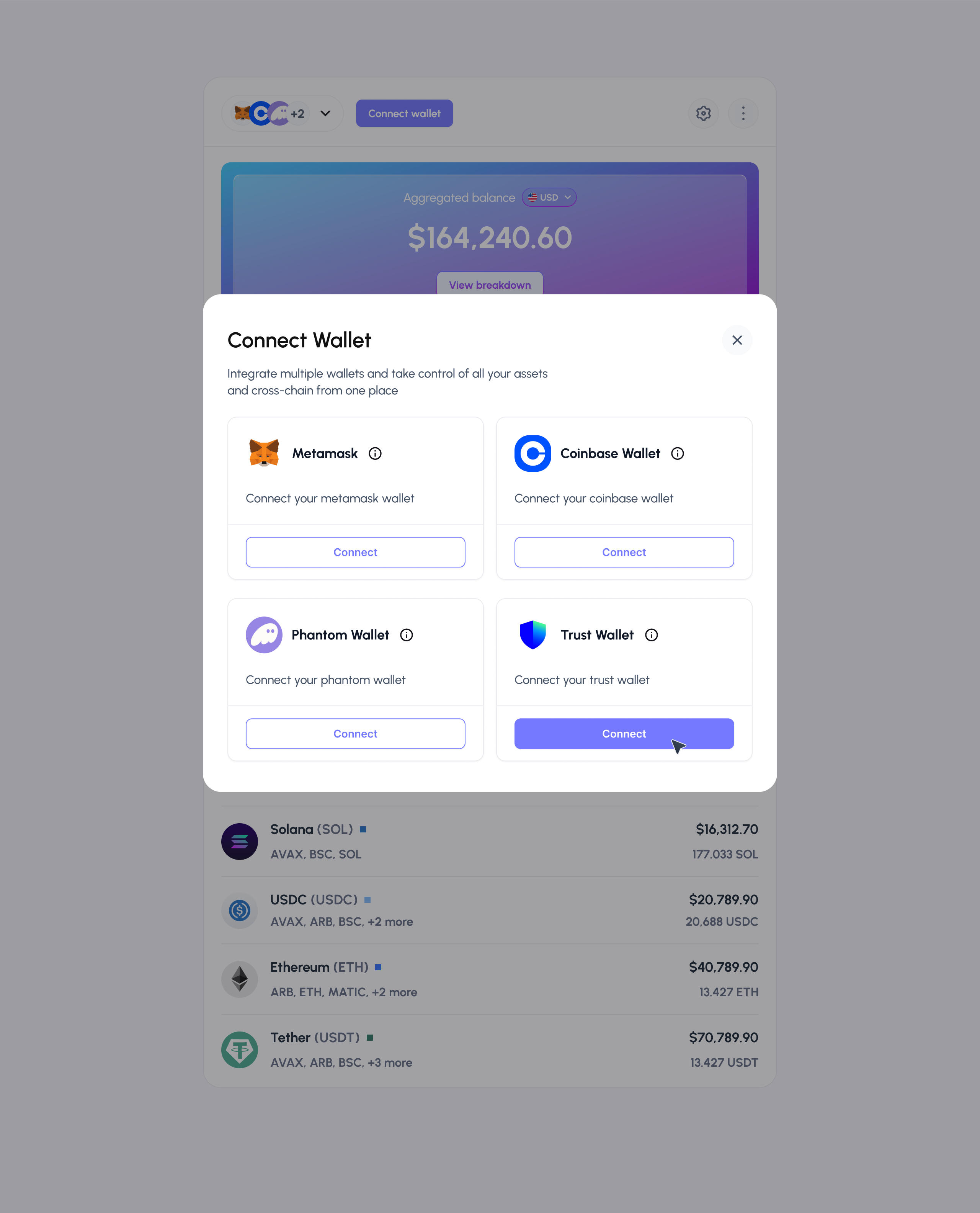 Connect Wallet Interface